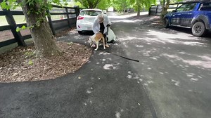 70K views · 9.1K reactions | It has been a bumpy road from the...