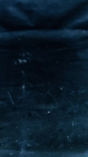 211K views · 1K reactions | Grow healthy orange plant at home | Easy gardening for beginners | 100% success tips //#reels #shorts #fblifestyel | Dian Creative | Facebook