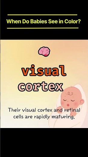 When Do Babies See in Color? 🌈 | Vision Development Milestone #BabyVision #colorperception