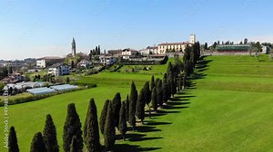 Italian trees lined up in a row, incredible view of the alley from a drone