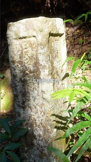 ts06 東京都の秘境ハイキング！🌿高水三山の癒し絶景と自然音ASMR💧
