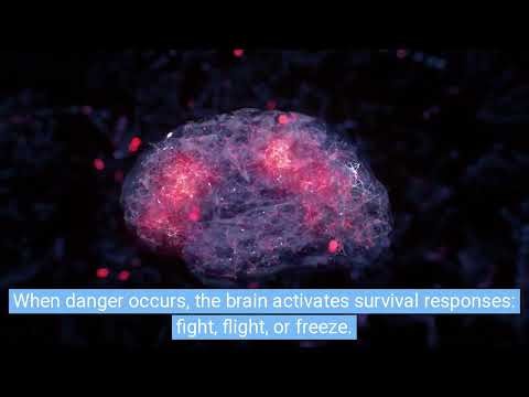 Understanding Trauma