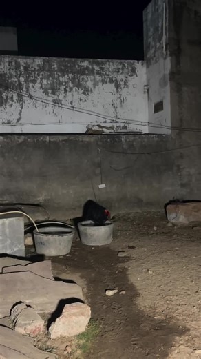 Real Ghost Sightings You Won't Believe