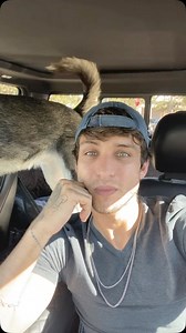 The best thing about models! #best #model #interview #real | Zane Robinson