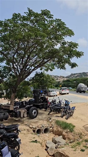 Showcasing Heavy-Duty Trucks and Buses in Nature