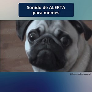 ¡Es uno de mis favoritos! Si sabes utilizar los sonidos de memes en el momento correcto puedes hacerte viral y crear videos únicos. Este audio es perfecto para transmitir sorpresa 😉 . . . #audiomemes #memes #Ediciondevideo | Wondershare Filmora Video Editor Español