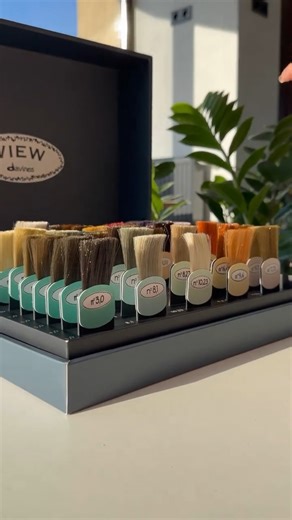 4.1K views · 51 reactions | With the VIEW color range, everyone will...