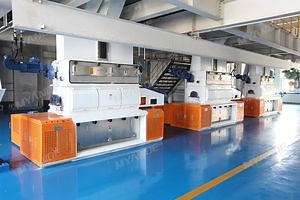 [Hot Item] Sunflower Cracker Machine with ISO Approved