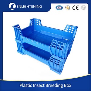 [Hot Item] Bsf Redworms Plastic Insect Breeding Box 600X400X145mm Insects Breeding Tray