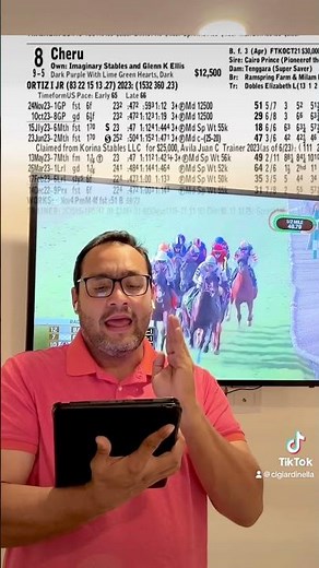 Handicapeando con el DRF retrospecto de las carreras americanas