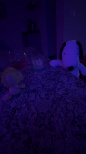 snoopy once again in his criminal era #snoopy #taylorswift #getawaycar