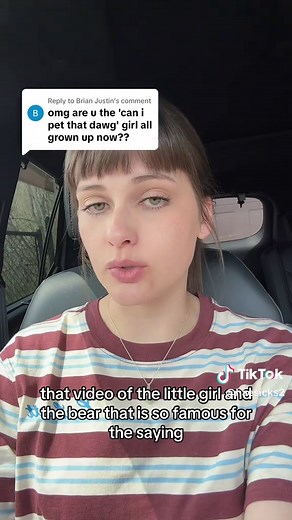 Can I Pet That Dog Original Video Explained