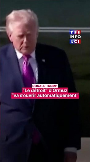 The Strait of Hormuz will open automatically: Donald Trump | TF1 INFO