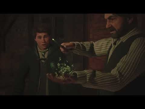 3 | Hogwarts Legacy | NAS SOMBRAS DA PROPRIEDADE [ DUBLADO PT BR ]