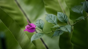 Is Video the Future of Media Compared to Photography? | Fstoppers