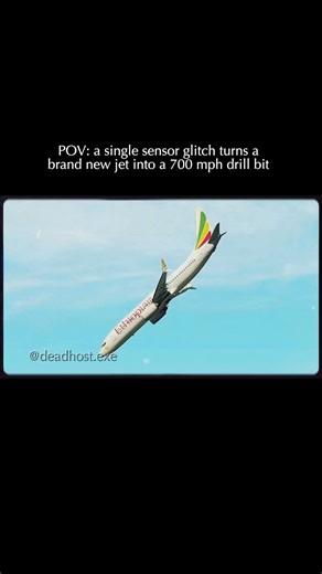 Ethiopian Airlines Flight 302 Crash