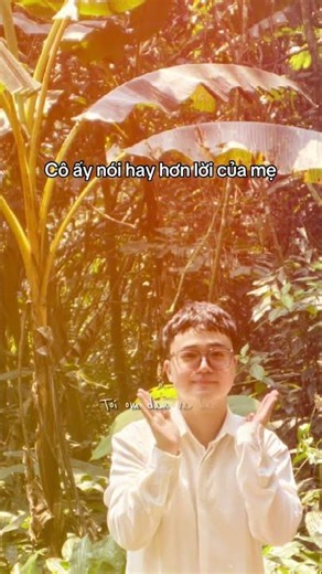 Lạc vào rừng nguyên sinh Cúc Phương 🌳