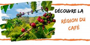 Visiter la Région du Café, Colombie: Le Guide de Voyage