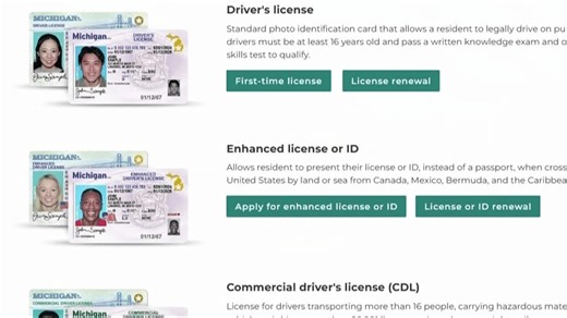 Should Michigan require proof of citizenship to Vote? Proposal sparks heated debate