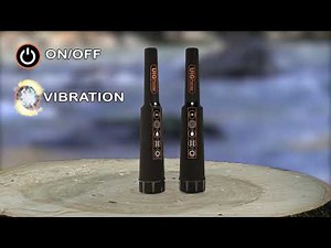 détecteur de métaux : Pointeur