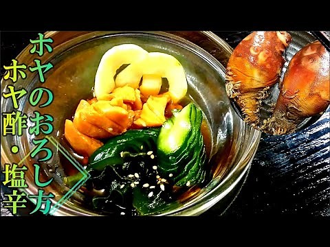 夏の肴『海鞘(ほや)』のおろし方と「ホヤ酢・ホヤ塩辛」の作り方 # 207