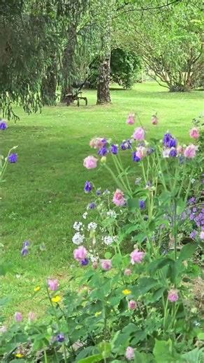 POV: fairytale garden.