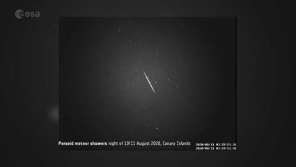 Dozens of Perseid meteors snapped by ESA camera on Canary Islands