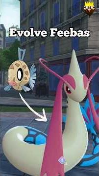 Evolve Feebas