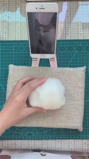 Crea un modelo de gato lindo: juguete para mascotas