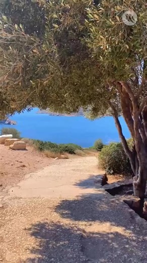 466 reactions · 9 comments | Aegean blues, ancient ruins, and timeless views… Cape Sounion ️ Let the Greece summer holiday content begin! #CapeSounion #TempleOfPoseidon #Athens #AncientRuins #GreekHistory #AncientHistory | Greek City Times | Facebook