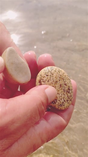 ​Rockhounding ASMR | Finding Unique Stones by the Water #shorts