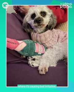 Your friendly Help Desk has a few tips and tricks for you! #TheLivingRoom | The Living Room