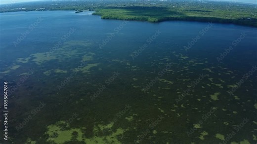 Coastal wetland features dense mangroves and clear shallow water zones, highlighting important ecological habitats and aquatic vegetation along the shoreline in a tropical environment.