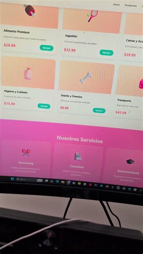 Are the skills in Claude Code useful?