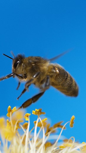 9.4K views · 85 reactions | A lot of power in the tightest of spaces:...