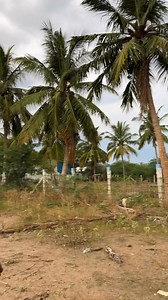 8.1K views · 46 reactions | 7 Levels of Atom Bomb 裡 . . ROBO CRACKERS, SIVAKASI  8610302653 / 9342764302  https://sivakasirobofireworks.com/ . . (️ Peppa foodie, Sivakasi, Sivakasi Crackers, Robo Crackers, diwali Crackers, diwali 2025, Robo Crackers, Peppa vlogs, Peppa foodie Crackers, Sivakasi Pattasu, Crackers in Sivakasi) | Peppa Foodie | Facebook