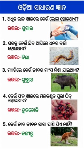 ଓଡ଼ିଆ ସାଧାରଣ ଜ୍ଞାନ || Gk Questions Answers || Knowledge #gk​ #odisha