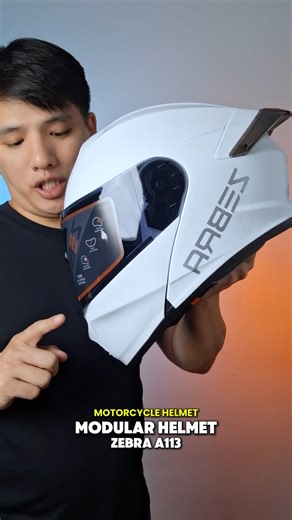 Zebra Modular Helmet | MotoMouse