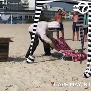 14K views · 168 reactions | Video shows an auto mechanic – who enjoys bee keeping as a hobby -- come to the rescue when a queen bee and her workers swarmed the beach off Cape May this week. https://7ny.tv/3fZ5oz6 | ABC7NY | Facebook