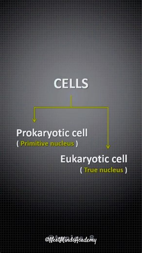 Cell Structure | Prokaryotic Cell 3D Animation | NEET Minds Academy #shorts #neet