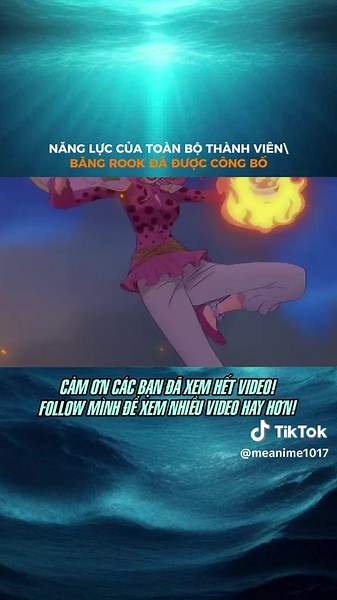 P1 NĂNG LỰC CỦA TOÀN BỘ THÀNH VIÊN BĂNG ROOK ĐÃ ĐƯỢC CÔNG BỐ#LearnOnTikTok #fanonepiece #anime #onepiece