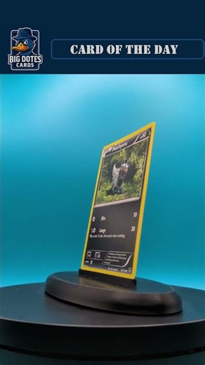 Poochyena - #pokemon #pokemontcg #pokemoncards #bigdotescards