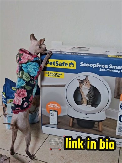 ScoopFree SmartSpin: La caja de arena automática para gatos