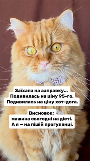 Ціни #пальне #гуморукраїна #бензин #авто #машина #жартиукраїна #життяукраїнців #війнавукраїні #cat