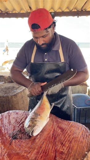 BEST Trevally Fish Cutting Ever! 😯 AMAZING Knife Skills | FASTEST Hands #shorts #fishcutting #viral