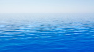 An Interview With Our 2022 First Place Winner, UniversO - Blue Ocean Student Entrepreneur Competition