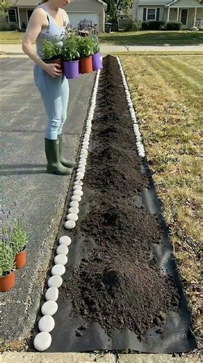 She Turned a Crumbling Driveway Edge Into a Dream Flower Border