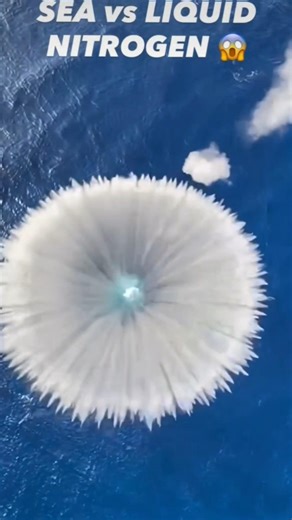 Sea vs liquid nitrogen #viral