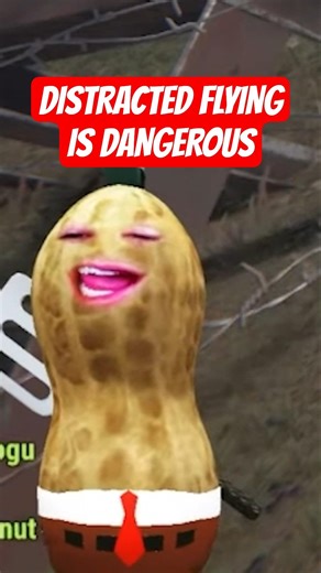 PEANUT NEEDS FLYING LESSONS | RUST ‪@TheBurntPeanut‬