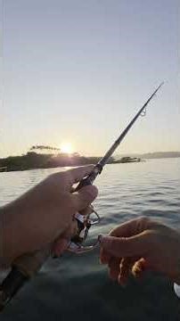 Painting a Crankbait, then catching a Bream on it